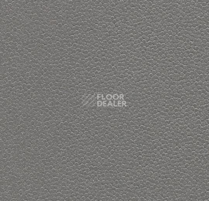 Линолеум Forbo SafeStep Aqua 180092 elephant фото 1 | FLOORDEALER